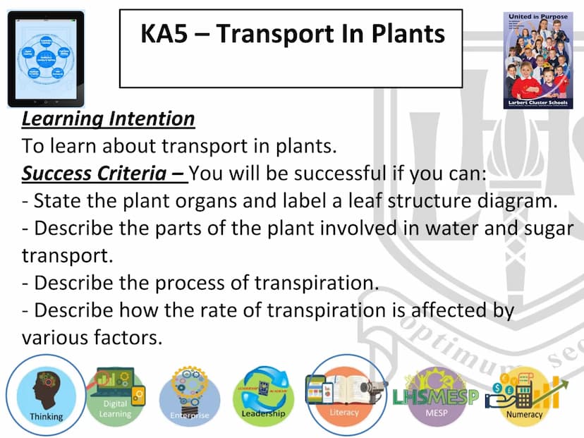 N5 Unit 2 KA5
Transport In Plants N5 biology course
1. Cell Biology
2.
3. Life on Earth
Multicellular Organisms Unit 2 - Multicellular organ