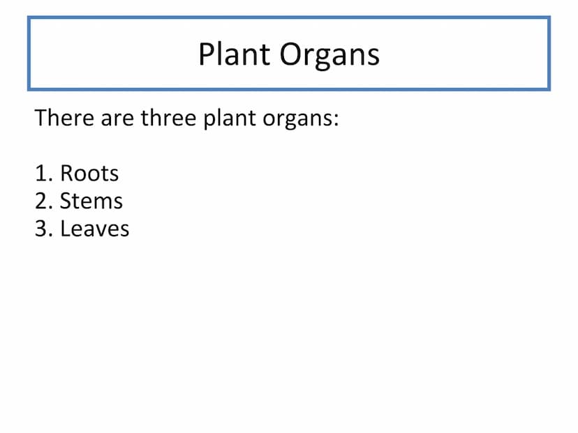 N5 Unit 2 KA5
Transport In Plants N5 biology course
1. Cell Biology
2.
3. Life on Earth
Multicellular Organisms Unit 2 - Multicellular organ