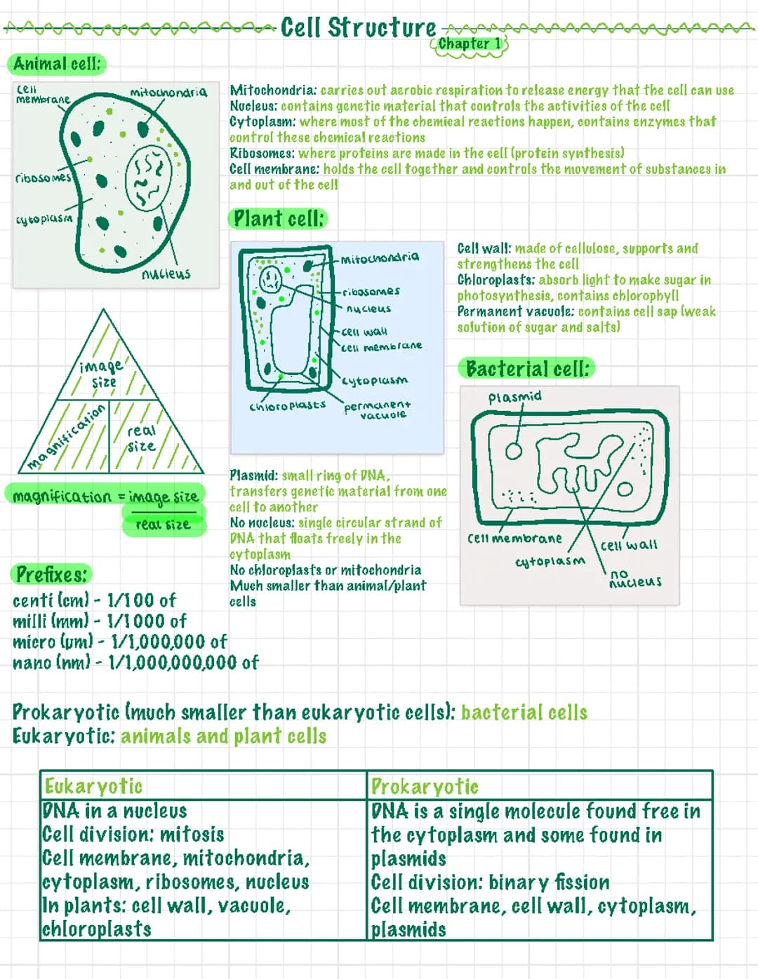 Cell Structure - GCSE BIOLOGY 