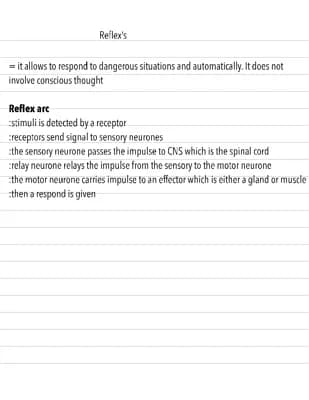 Know Reflex arc GCSE BIOLOGY thumbnail