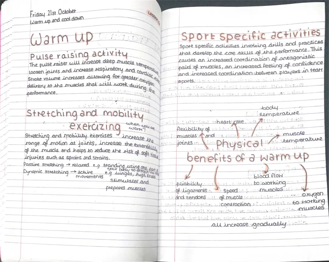 GCSE PE Theory: Warm Up and Cool Down Stages & Benefits
