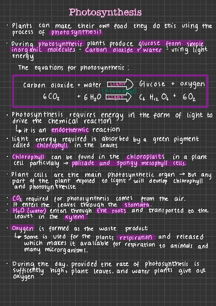 Know photosynthesis notes  thumbnail