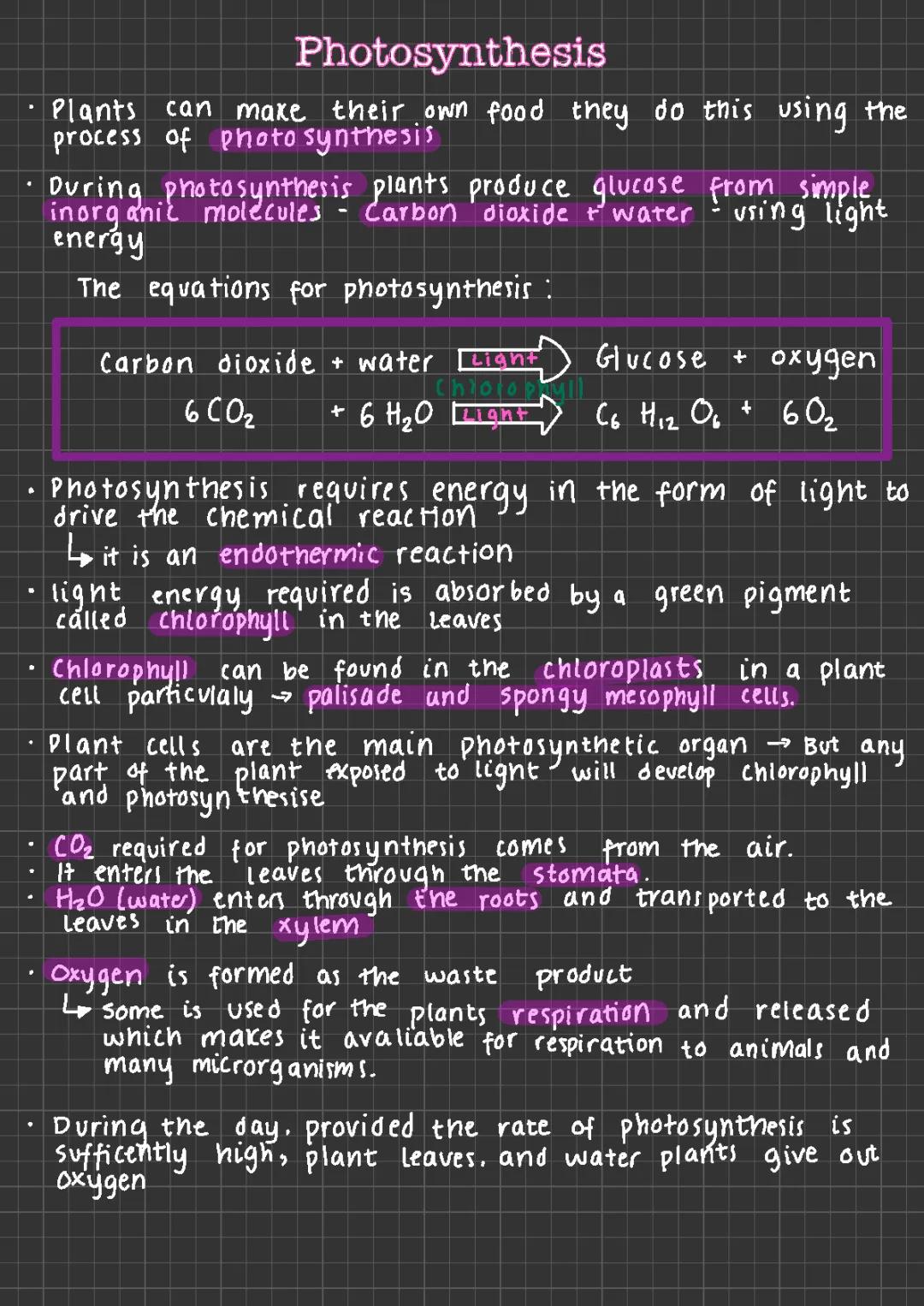 Free Photosynthesis Notes PDF - GCSE & A Level Biology, Factors and Methods of Measurement