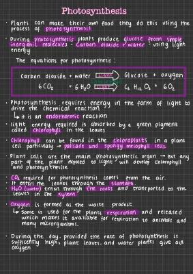 Know photosynthesis notes  thumbnail