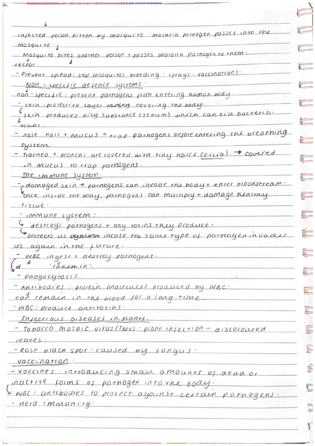 TALL
Biology Paper ! Topic 3 Infection + Response:
communicable + non-communicable disease.
communicable: can
spread by pathogens.
-non-comm