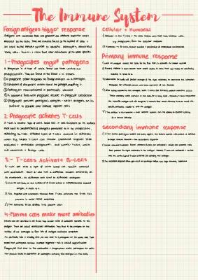 Know A-Level Biology The Immune System Notes thumbnail