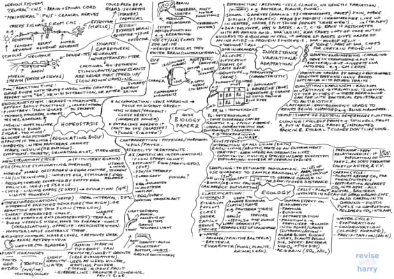 Know Biology - Paper 2 Mindmap thumbnail