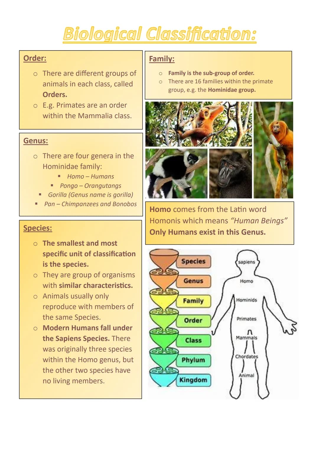 o The process of organising living
things is called Classification.
o Organisms are classified by their
structure and how closely related
th