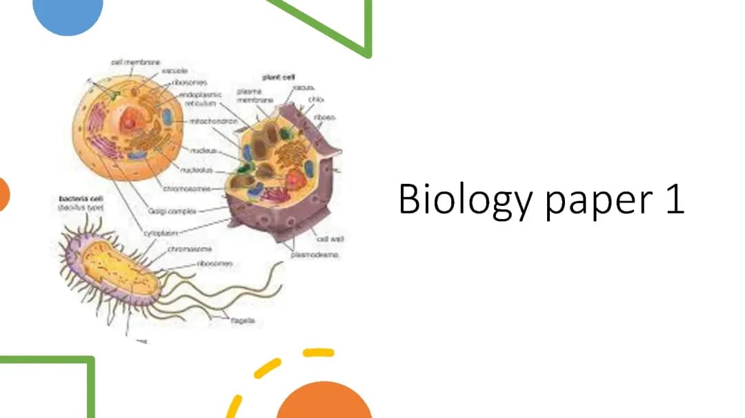 Biology paper 1: Infection and response