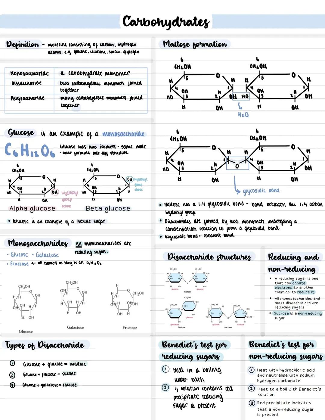 Carbohydrates Notes