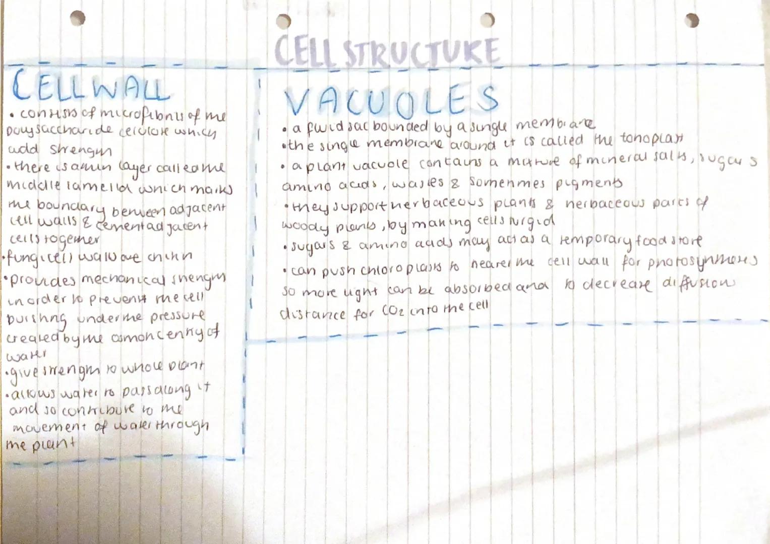 CELLSTRUCTURE
NUCLEOLUS CHLOROPLAST ENVELOPE astuvany z a b c d e f g
•manufactures rRNA and!. a double plasmamembrane that surrounds the Th