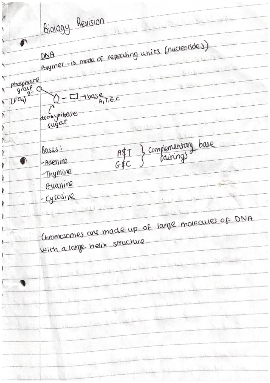 N
J
A
D
A
A
D
A
Phosphate
group Q
(PO4)
Biology Revision.
DNA
Polymer - is made of repeating units (nucleotides)
Y- ] → base
Ĉ
deoxyribose
s