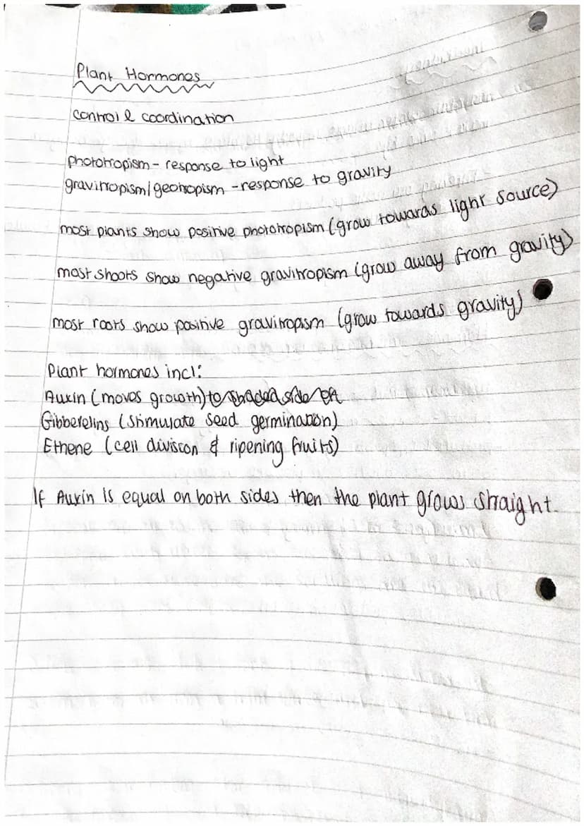 N
J
A
D
A
A
D
A
Phosphate
group Q
(PO4)
Biology Revision.
DNA
Polymer - is made of repeating units (nucleotides)
Y- ] → base
Ĉ
deoxyribose
s