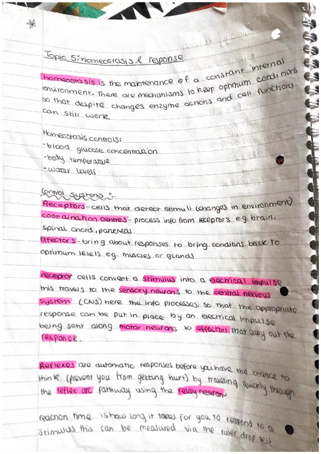N
J
A
D
A
A
D
A
Phosphate
group Q
(PO4)
Biology Revision.
DNA
Polymer - is made of repeating units (nucleotides)
Y- ] → base
Ĉ
deoxyribose
s