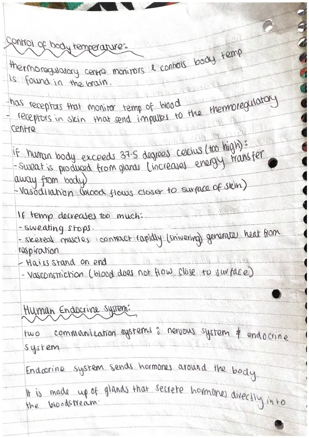 N
J
A
D
A
A
D
A
Phosphate
group Q
(PO4)
Biology Revision.
DNA
Polymer - is made of repeating units (nucleotides)
Y- ] → base
Ĉ
deoxyribose
s