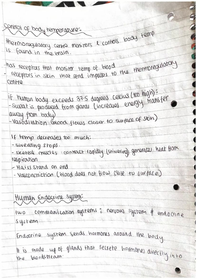 N
J
A
D
A
A
D
A
Phosphate
group Q
(PO4)
Biology Revision.
DNA
Polymer - is made of repeating units (nucleotides)
Y- ] → base
Ĉ
deoxyribose
s