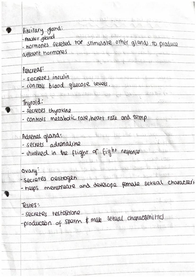 N
J
A
D
A
A
D
A
Phosphate
group Q
(PO4)
Biology Revision.
DNA
Polymer - is made of repeating units (nucleotides)
Y- ] → base
Ĉ
deoxyribose
s