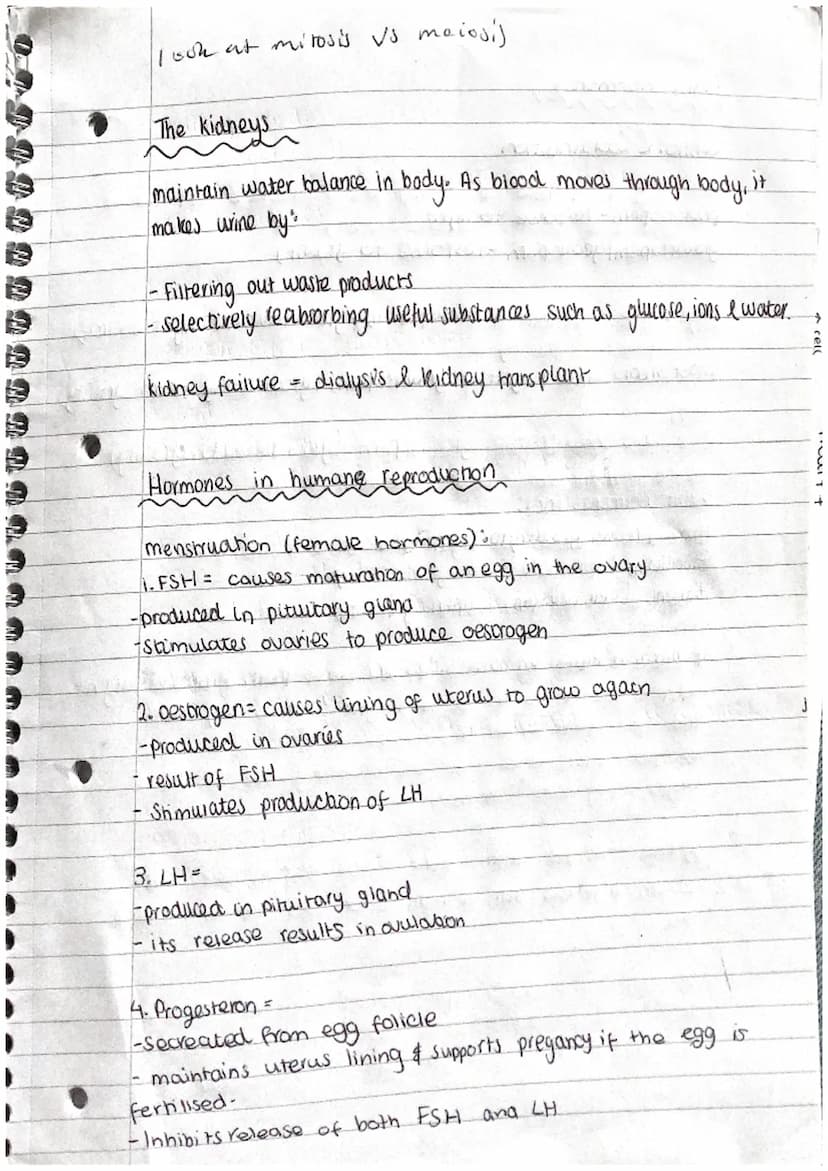 N
J
A
D
A
A
D
A
Phosphate
group Q
(PO4)
Biology Revision.
DNA
Polymer - is made of repeating units (nucleotides)
Y- ] → base
Ĉ
deoxyribose
s