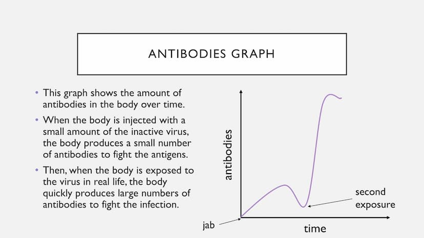 FIGHTING DISEASE - VACCINATION VACCINATION QUESTIONS
What is a vaccination?
How do vaccines work?
How does the body fight infection?
Can you