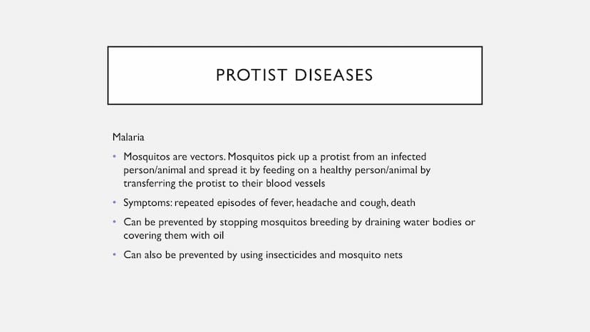 DISEASES
Types of viral, bacterial, fungal and protist diseases TMV
●
●
●
Measles
●
●
●
VIRAL DISEASES
Symptoms: fever, red rash, can be fat