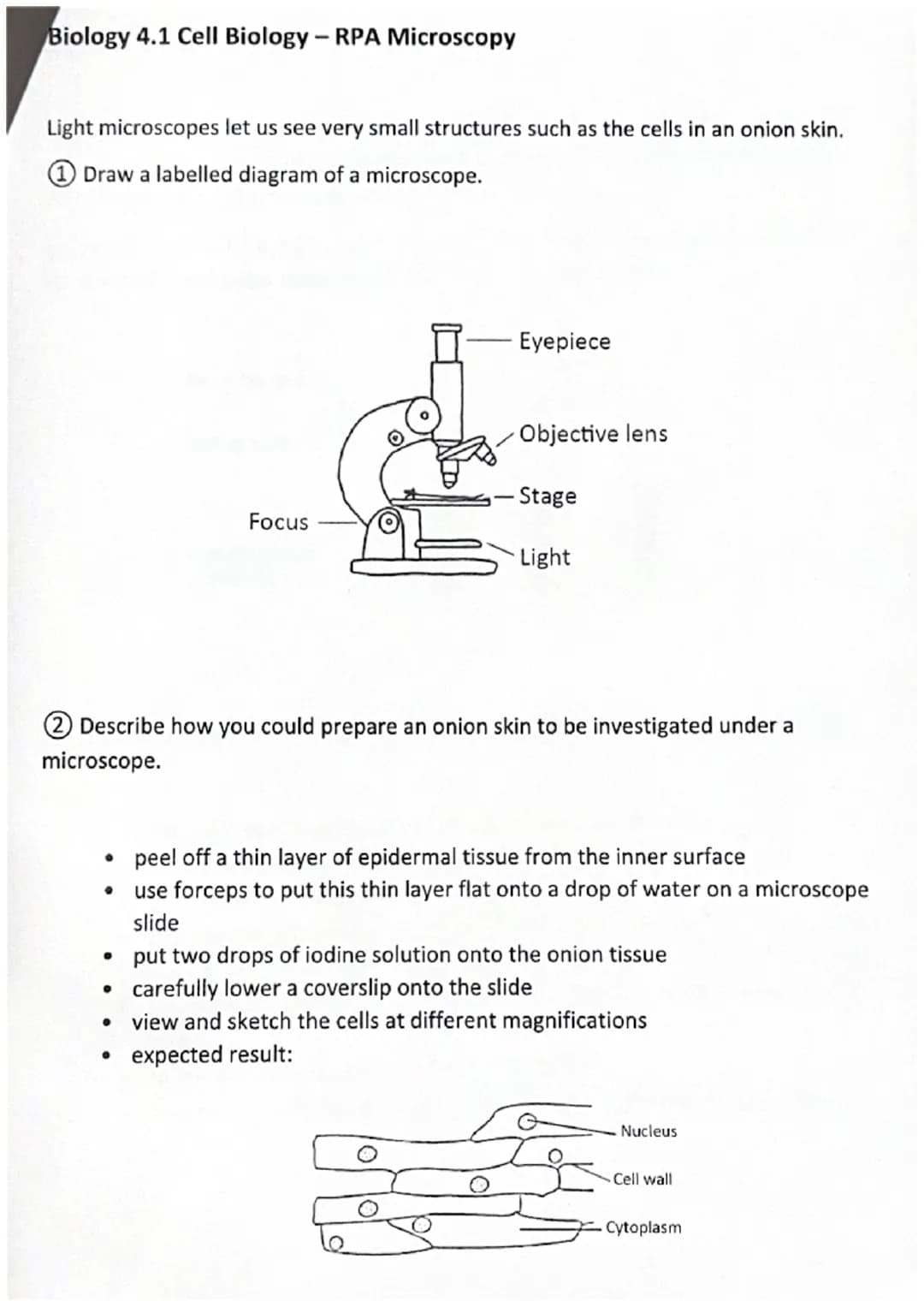 AQA GCSE
Required Practical Activities
Recall tests
Paper 1
Biology 4.1 Cell Biology - RPA Microscopy
Biology 4.1 Cell Biology - RPA Microbi