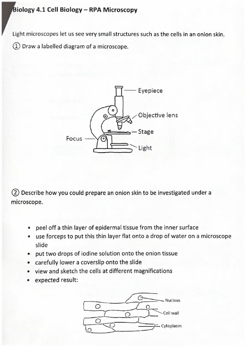AQA GCSE
Required Practical Activities
Recall tests
Paper 1
Biology 4.1 Cell Biology - RPA Microscopy
Biology 4.1 Cell Biology - RPA Microbi