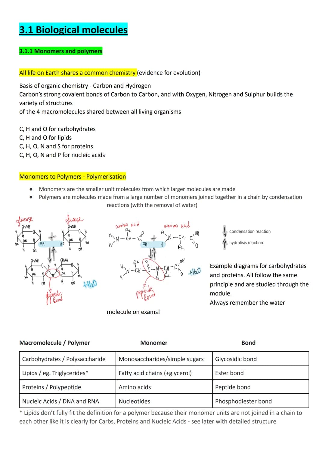 3.1 Biological molecules
3.1.1 Monomers and polymers
All life on Earth shares a common chemistry (evidence for evolution)
Basis of organic c