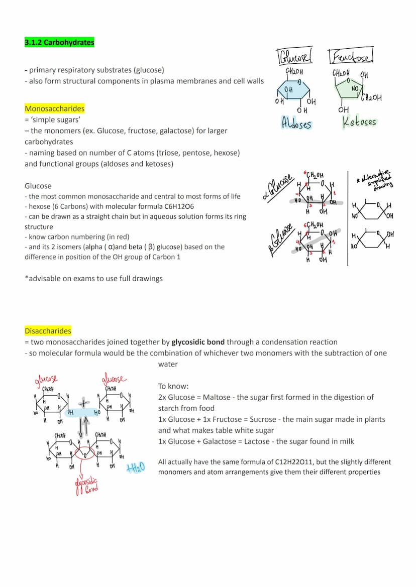 3.1 Biological molecules
3.1.1 Monomers and polymers
All life on Earth shares a common chemistry (evidence for evolution)
Basis of organic c