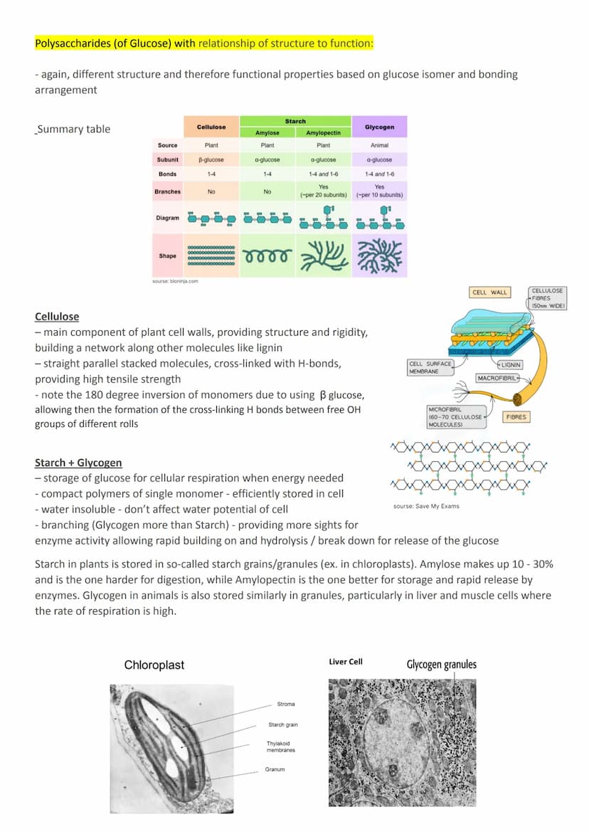 3.1 Biological molecules
3.1.1 Monomers and polymers
All life on Earth shares a common chemistry (evidence for evolution)
Basis of organic c