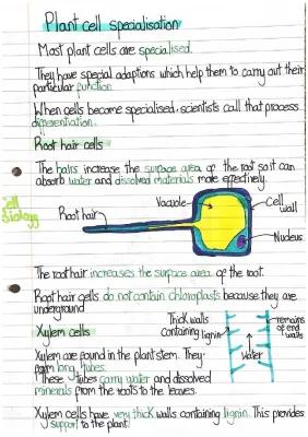 Know Plant cell specialisation thumbnail