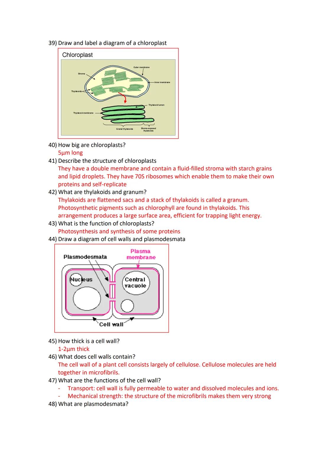 Revision card questions for cell structure and organisation
Microscopes
1) Name two types of microscopes
Light microscopes and Electron micr