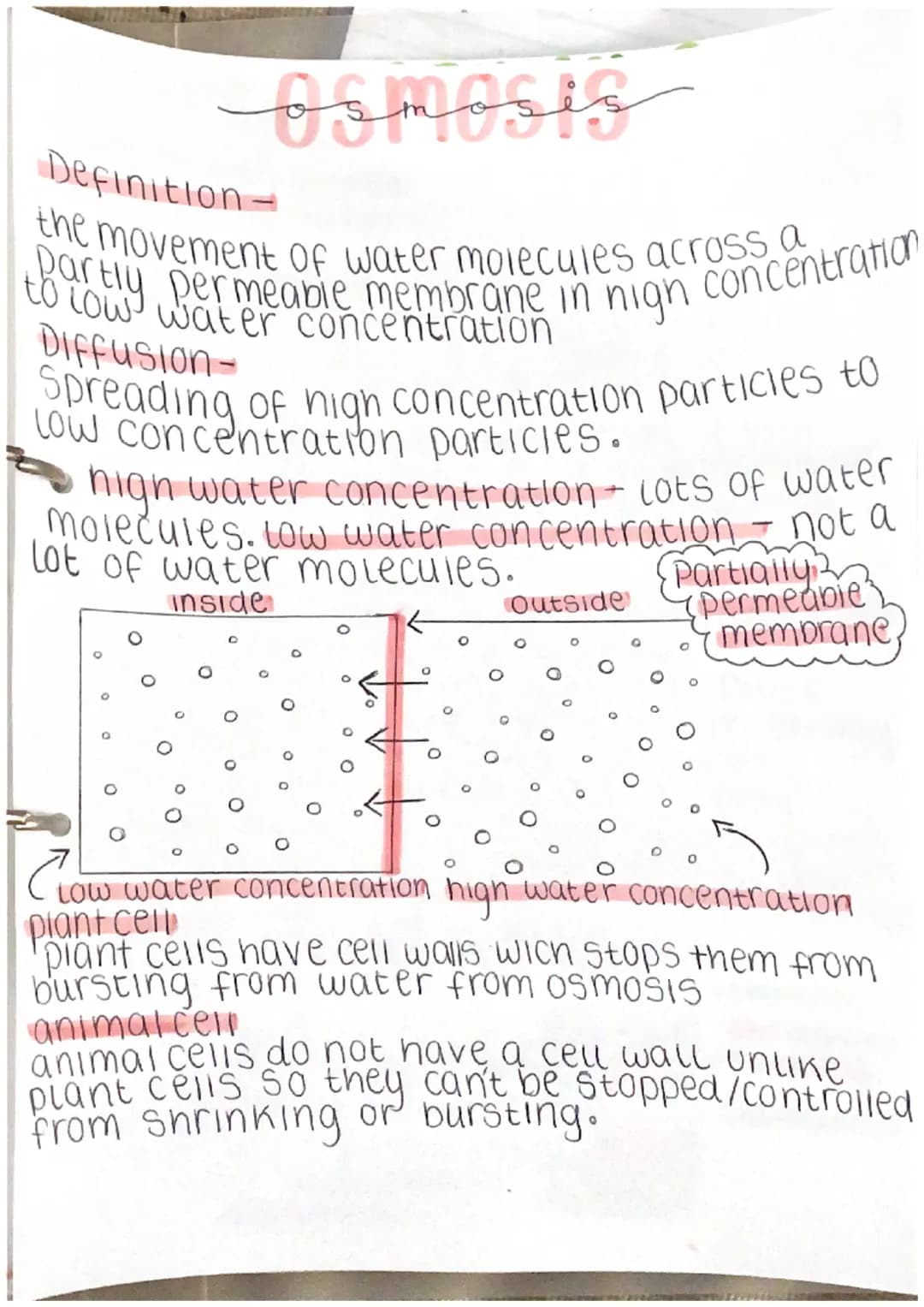 osmosis
Definition-
to low water concentration
to low, Permeable membrane in nigh concentration
the movement of water molecules across a
Dif