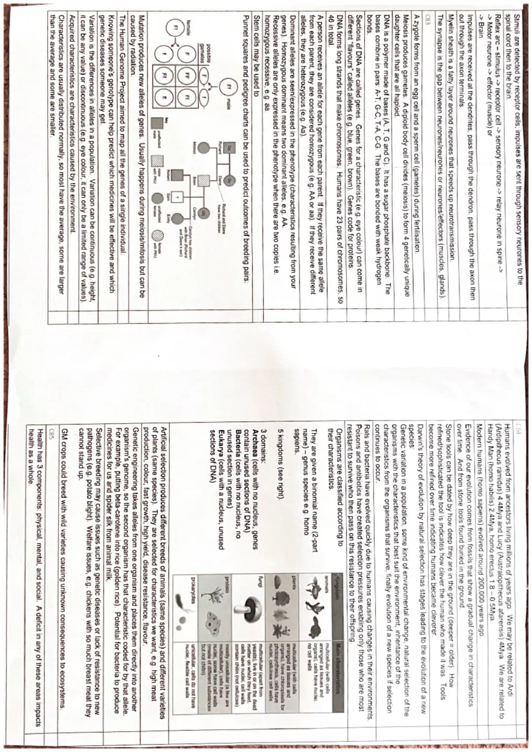 Biology Paper 1
CB1
Image size = magnification x object size
Magnification objective x eye piece
Resolution is the smallest separation betwe