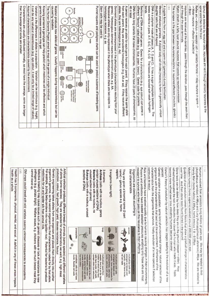 Biology Paper 1
CB1
Image size = magnification x object size
Magnification objective x eye piece
Resolution is the smallest separation betwe