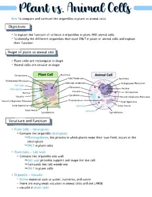 Know plant vs animal cells thumbnail