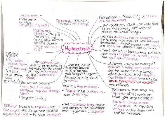 Know Biology Chapter 5 Homeostasis and Response  thumbnail