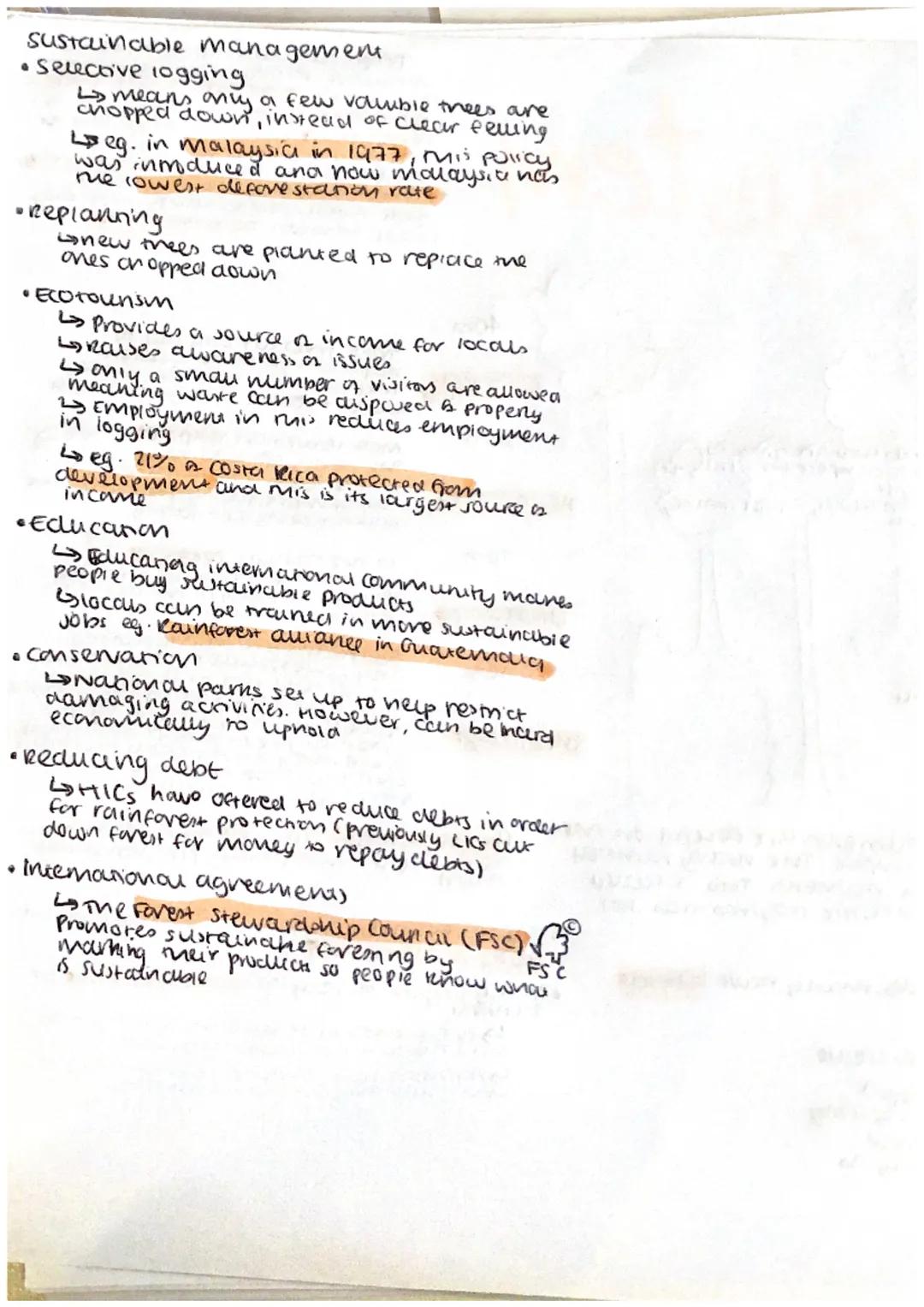 # Rainforest Ecosystem
Deforest anion in me Amazon
*   95% is caused by farming, ana me
    reaning of carrie account for 80%
*   causes con
