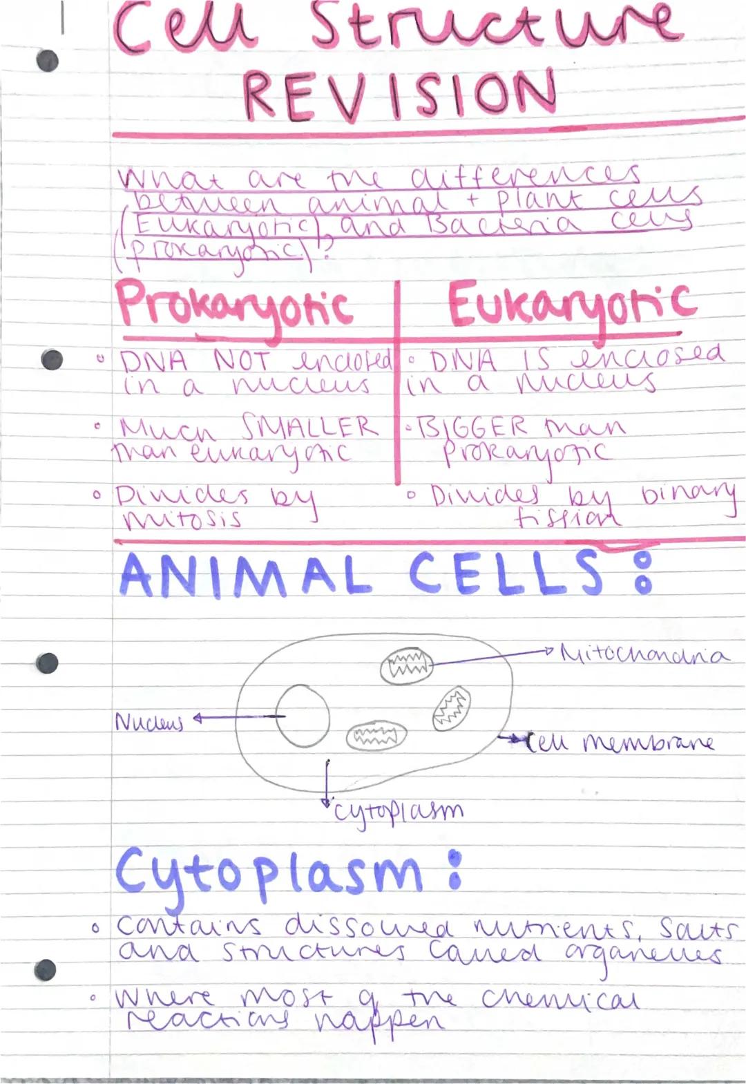 What's the Difference? Eukaryotic vs. Prokaryotic Cells