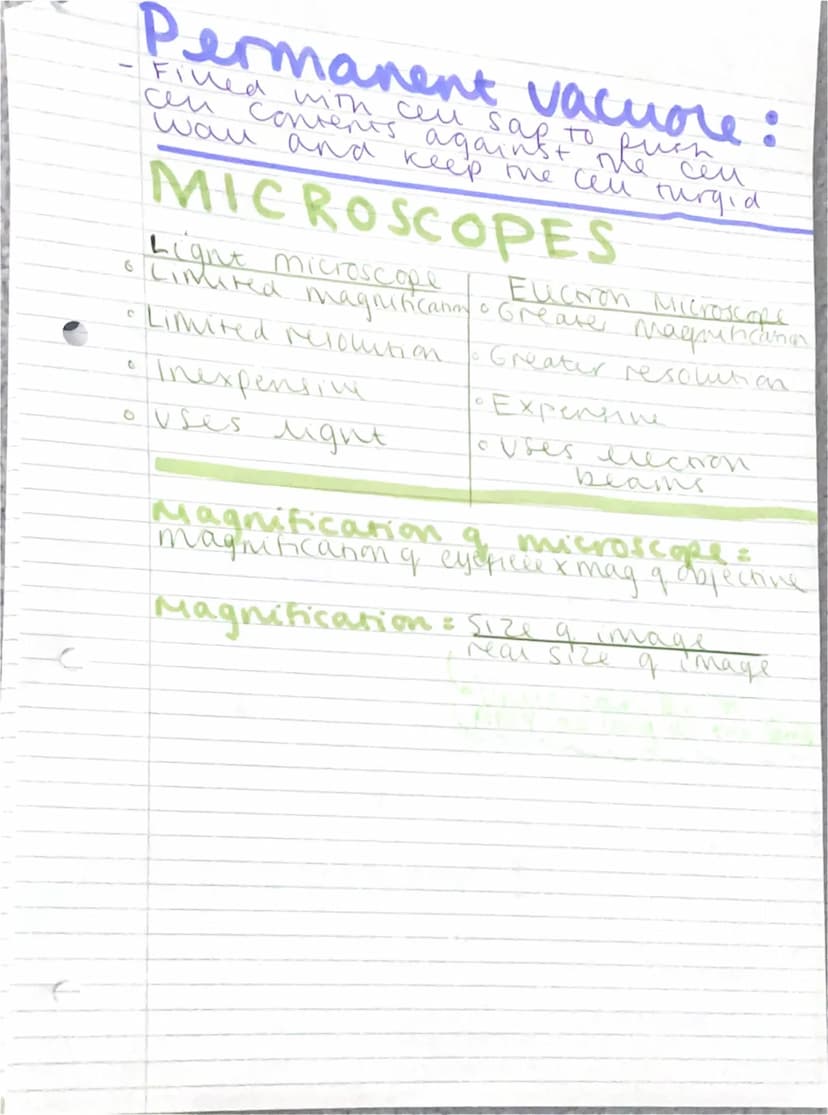 Cell Structure
REVISION
What are the differences.
дедишен апітал + plant cus
Eukaryonic and Васлела сег
раказуется
Prokaryotic Eukaryotic
DN