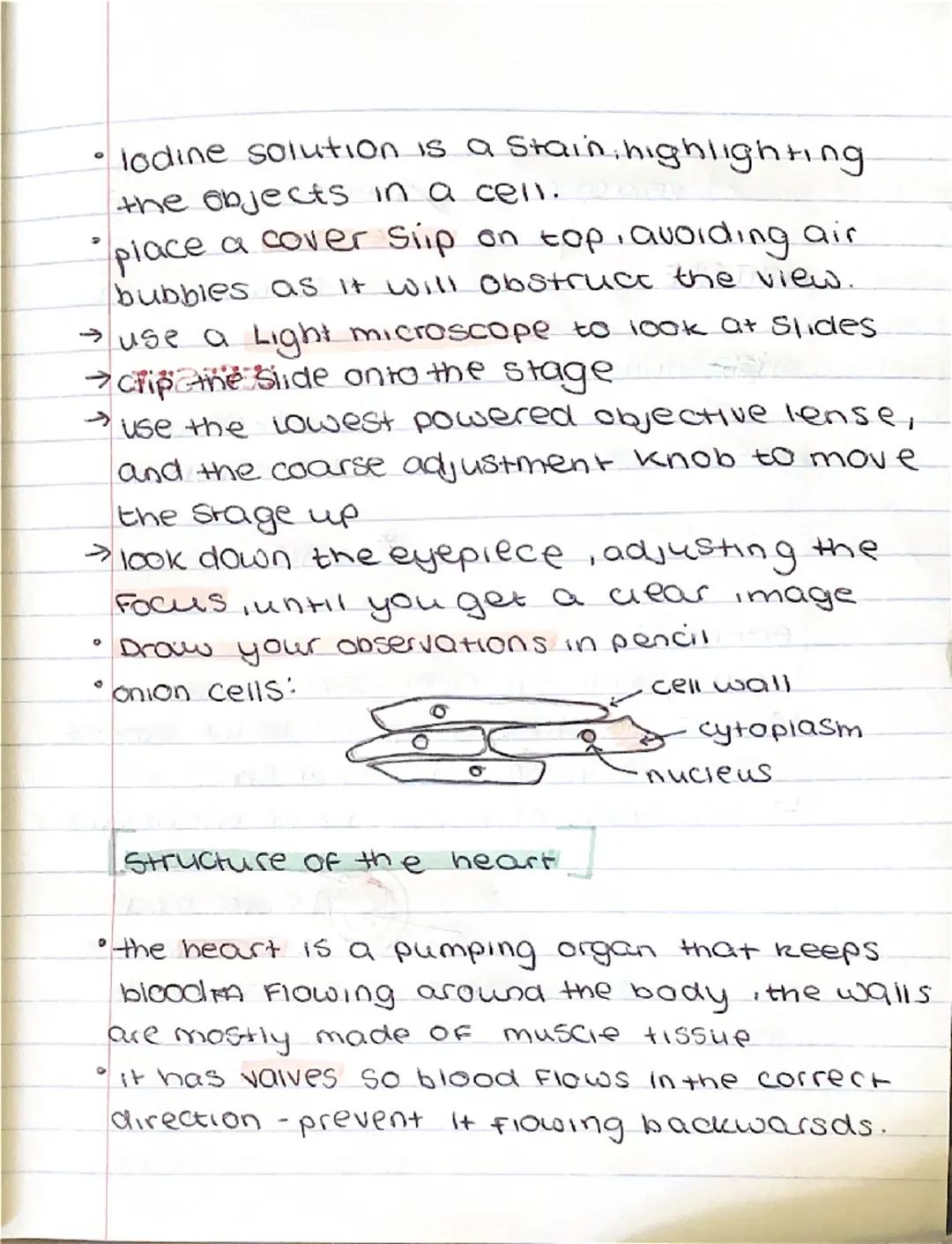 °
BIOLOGY
оду
гда
Communicable and non-communicable
diseases.
Communicable diseases can be spread,
From person to person or animals and
peop