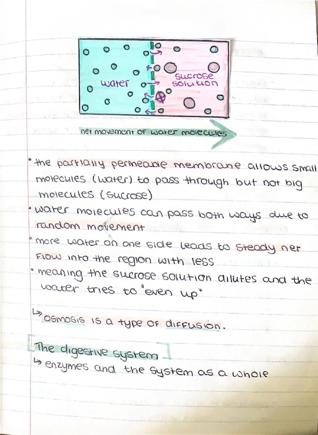 °
BIOLOGY
оду
гда
Communicable and non-communicable
diseases.
Communicable diseases can be spread,
From person to person or animals and
peop