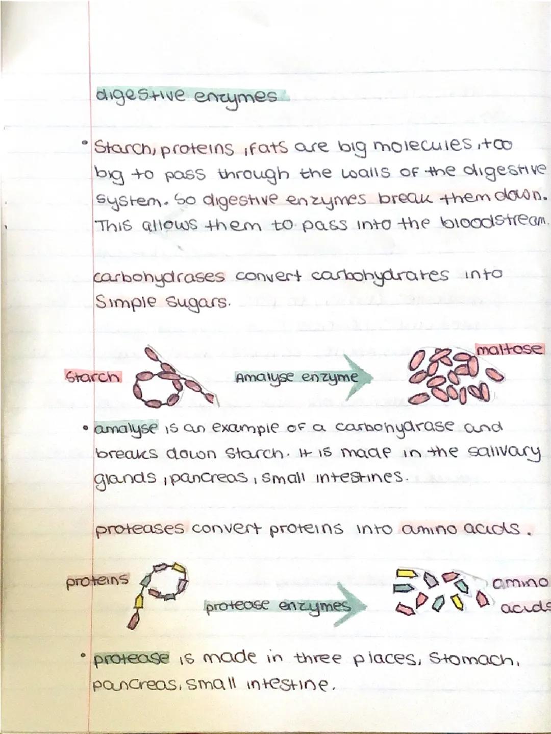 °
BIOLOGY
оду
гда
Communicable and non-communicable
diseases.
Communicable diseases can be spread,
From person to person or animals and
peop