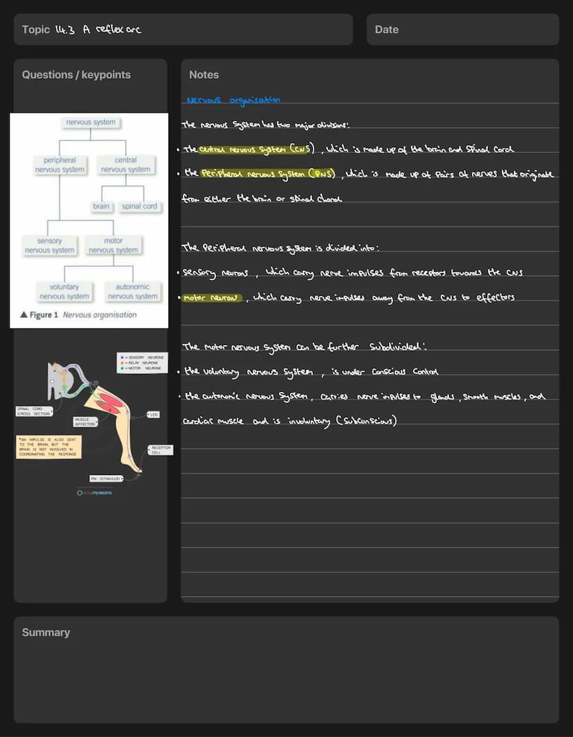  Topic Survival and response
Questions/keypoints
CROW
MOVES
DETECTION
ROBIN'S
EYES
STIMALUS-RECEPTORS
Summary
COORDINATION
NERVES AND BRAIN
