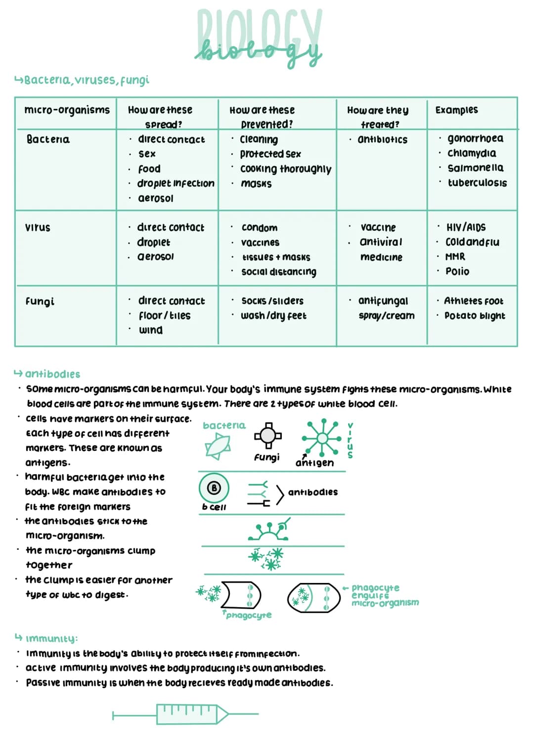 
<p>Bacteria, viruses, and fungi are examples of micro-organisms that can cause diseases. These micro-organisms can be spread through direct