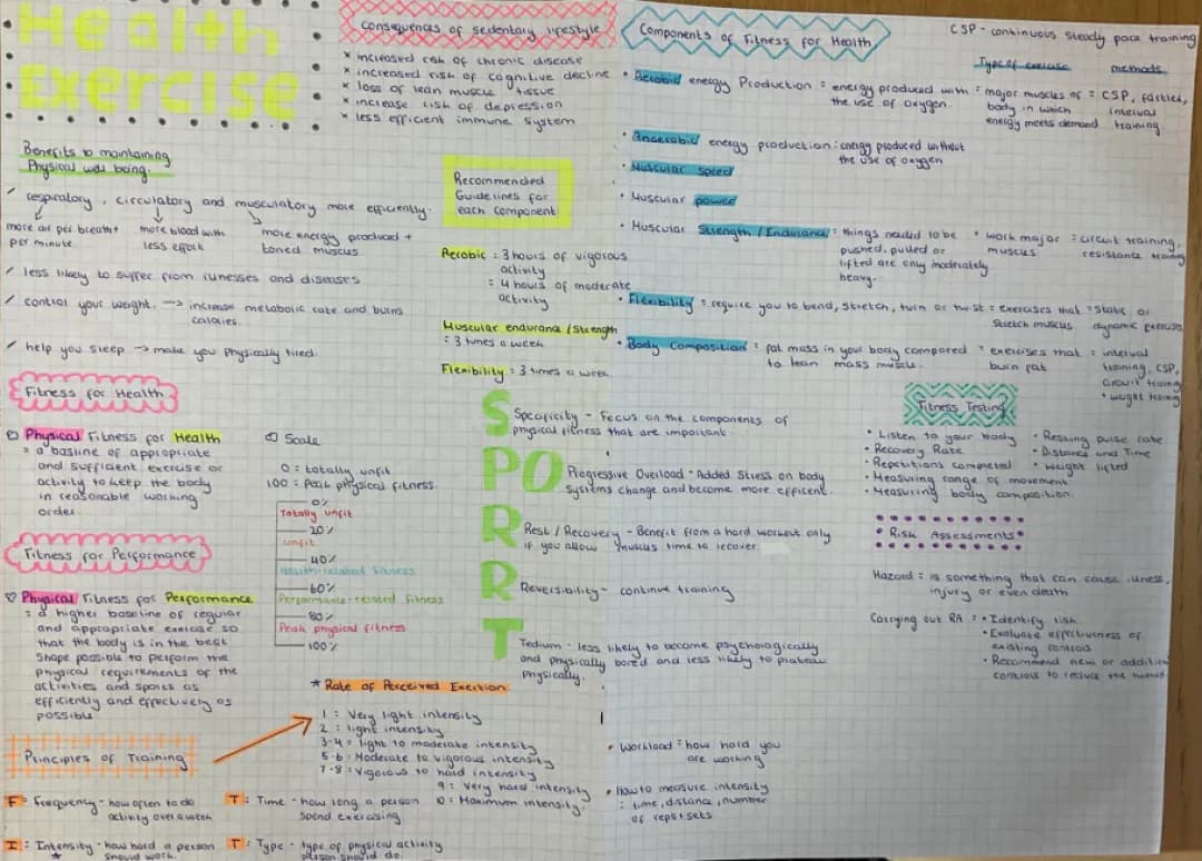 CCEA GCSE PE Textbook PDF: Revision Notes and Fitness Tests