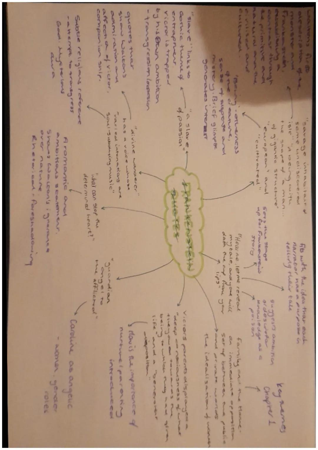 IR. HEIM
Shelley introduces
themes & parenting
and nurture in
introduction. The
nore itself is linked
as a form of creation,
a noves from a
