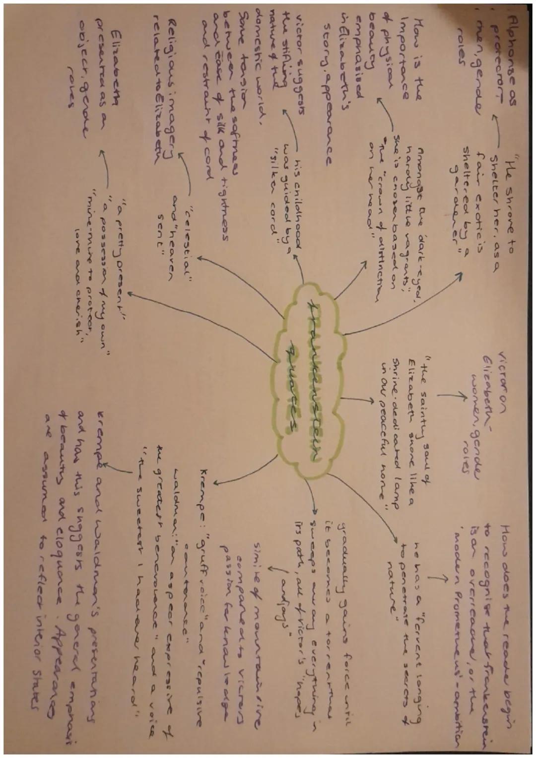 IR. HEIM
Shelley introduces
themes & parenting
and nurture in
introduction. The
nore itself is linked
as a form of creation,
a noves from a
