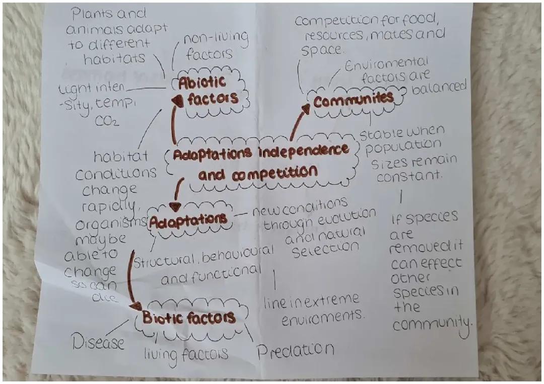 Science mind maps trophic levels in a ecosystem and more