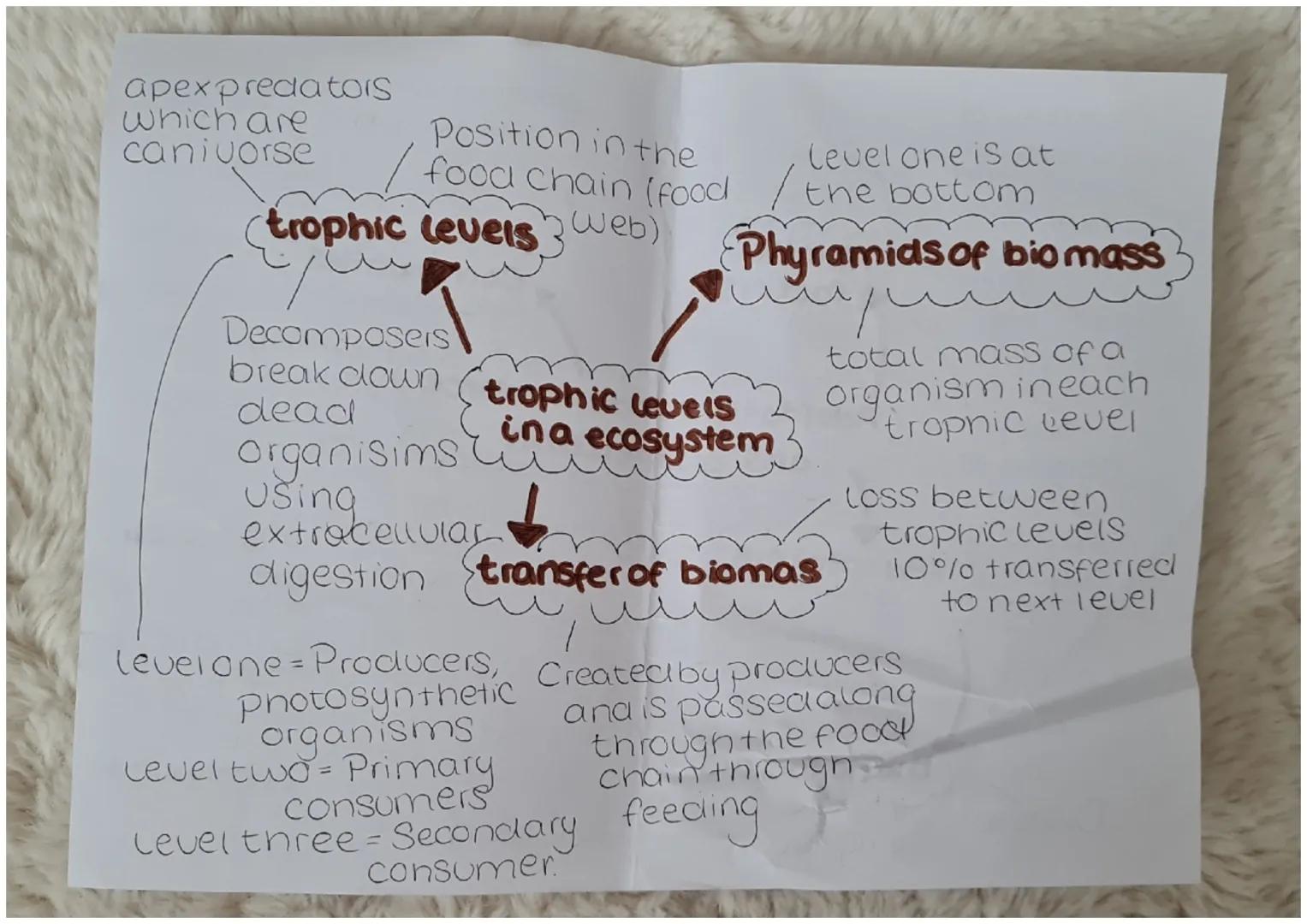 Plants and
animals adapt
to different
habitats
tight inten.
-Sity, tempi
CO₂
able to
change
so can
die
non-living
factors
Disease
Abiotic
✔f