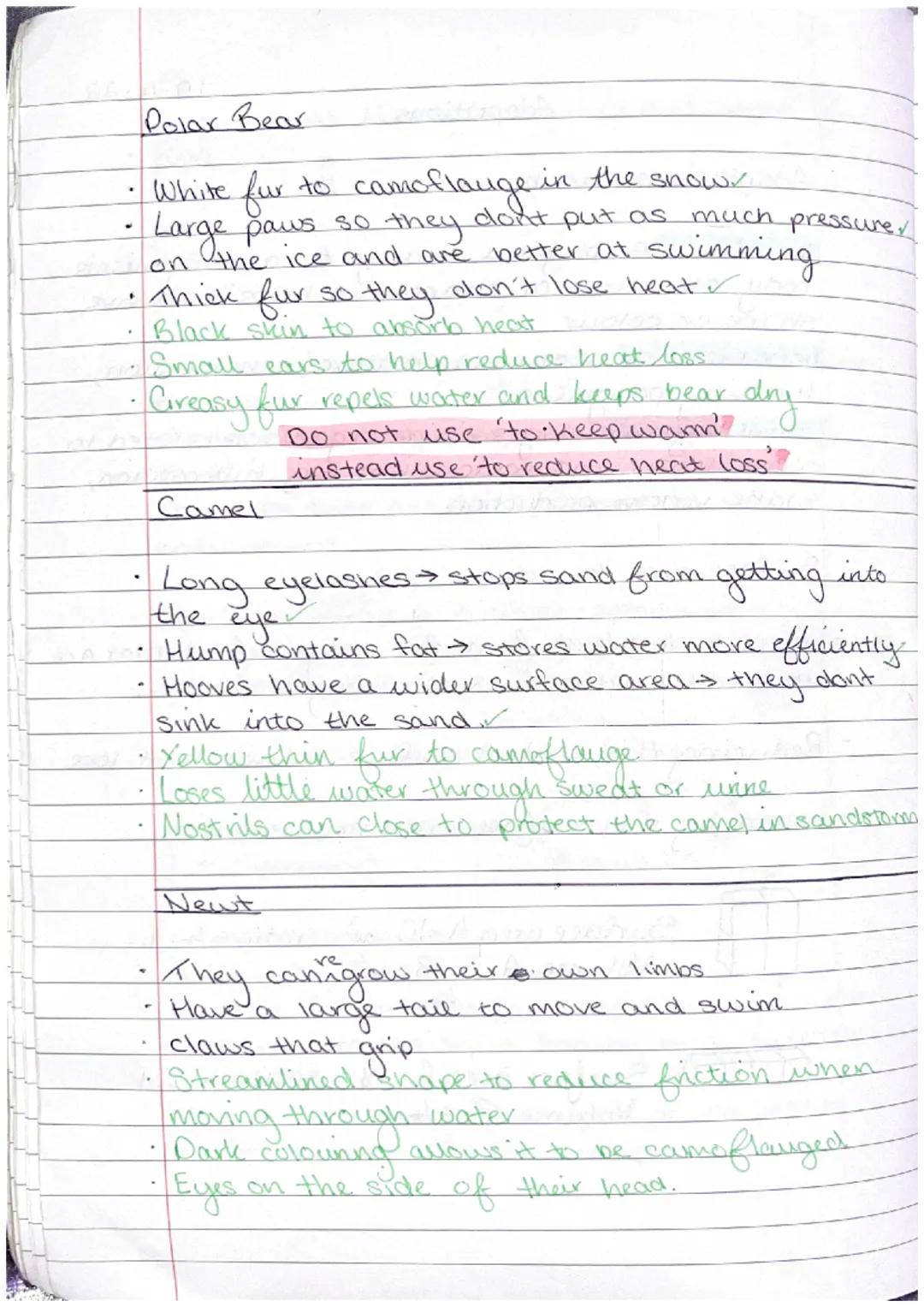 1
Adaptations
Adaptations can be:
structural: a physical change to an
organisms
body structure or shape that helps it survive,
shape or colo